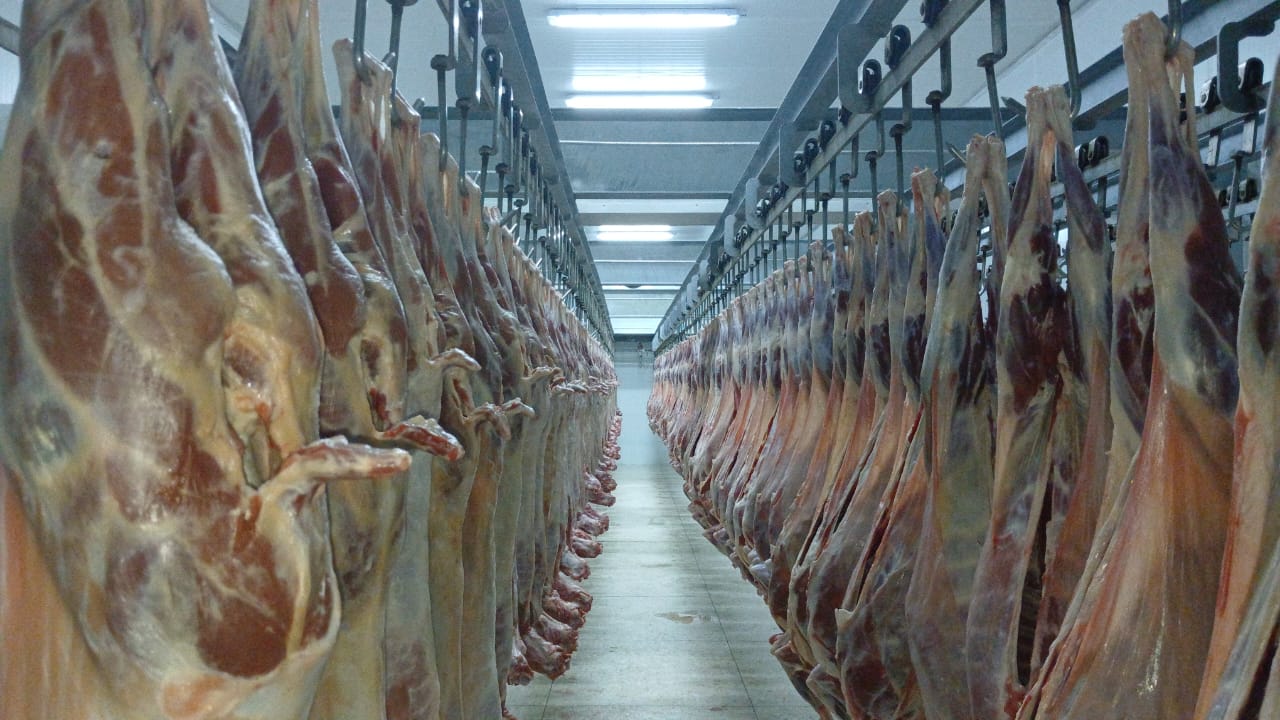 Naturally raised goat and lamb